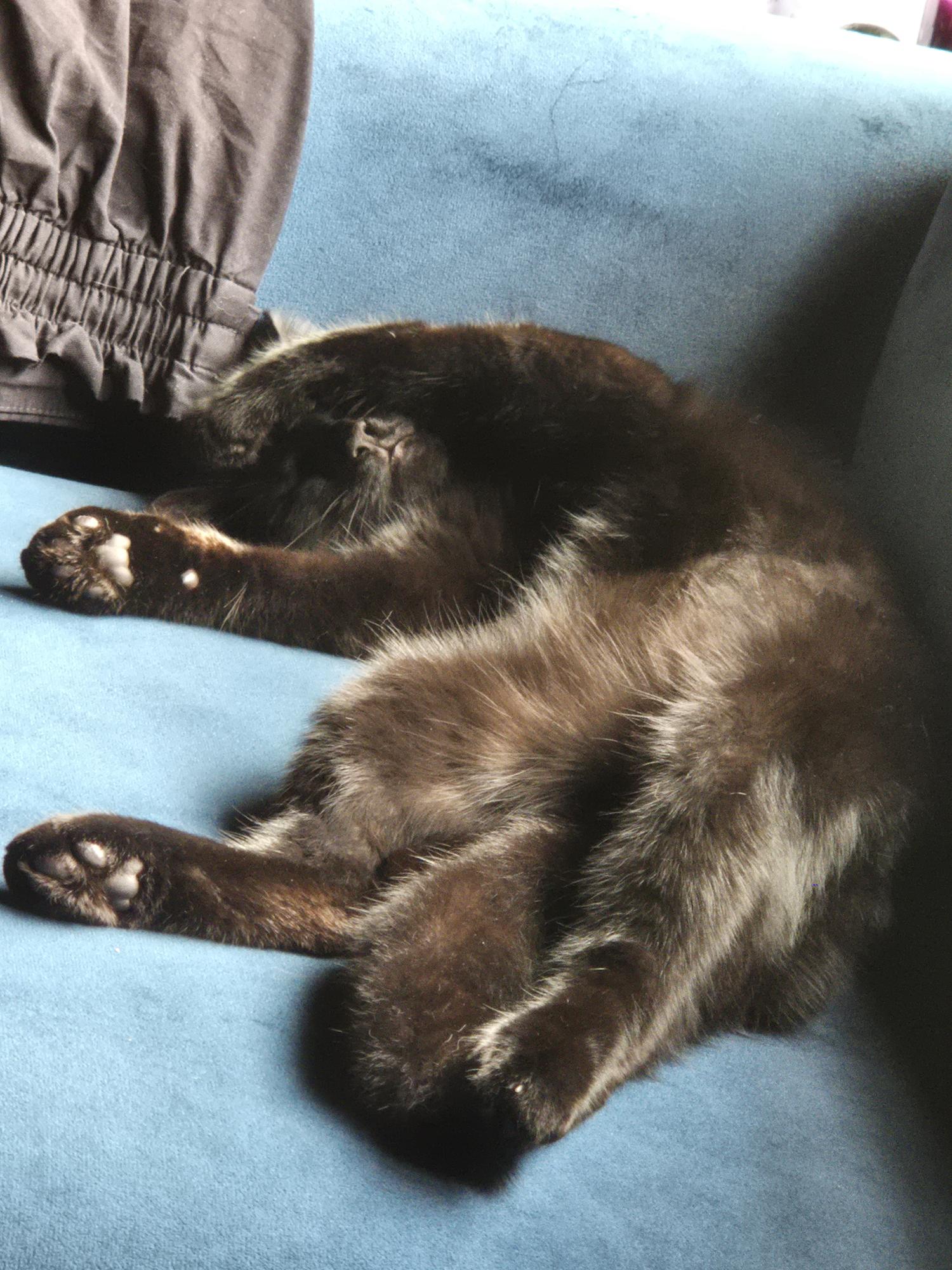 Binx