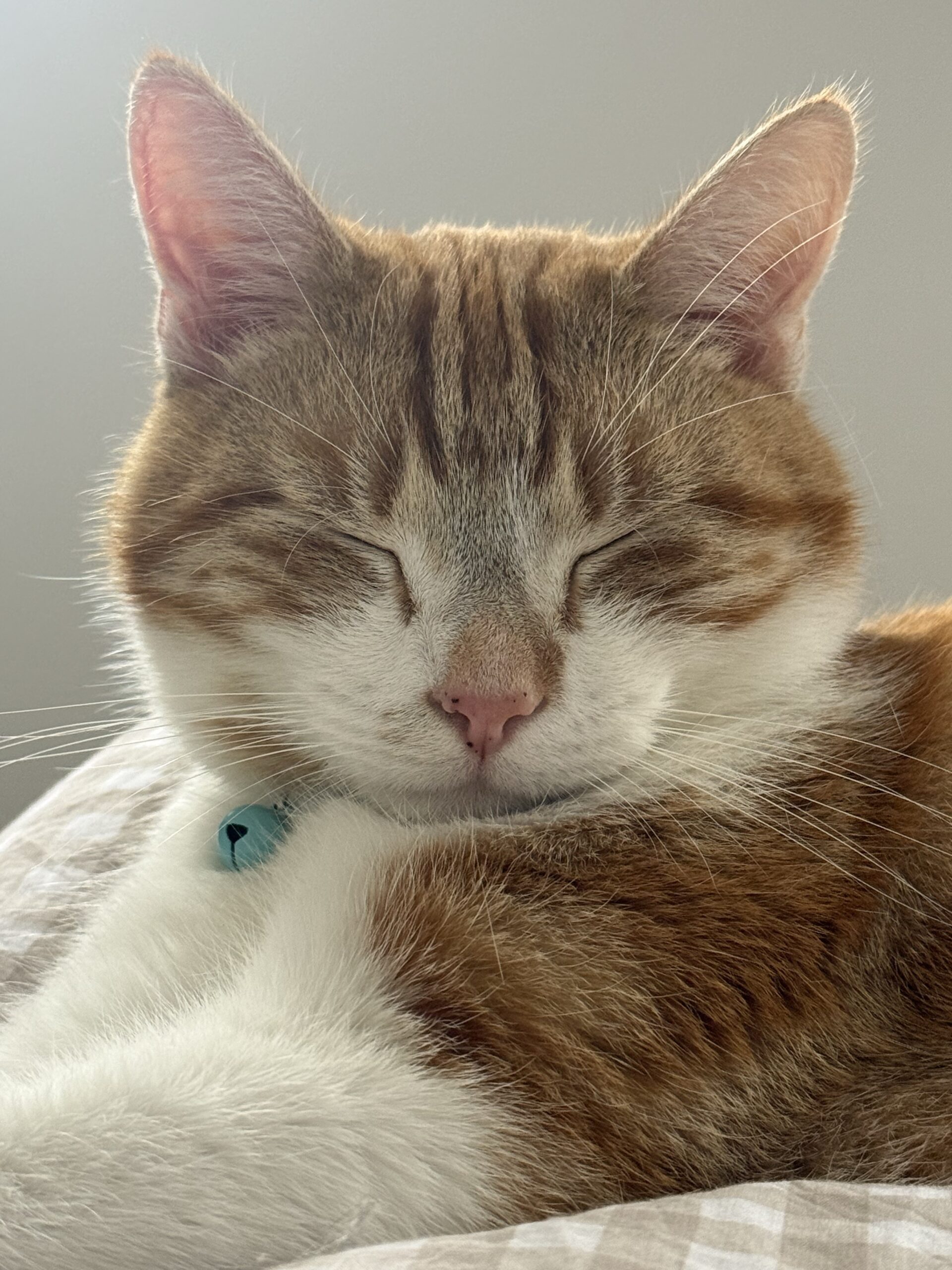 Boris